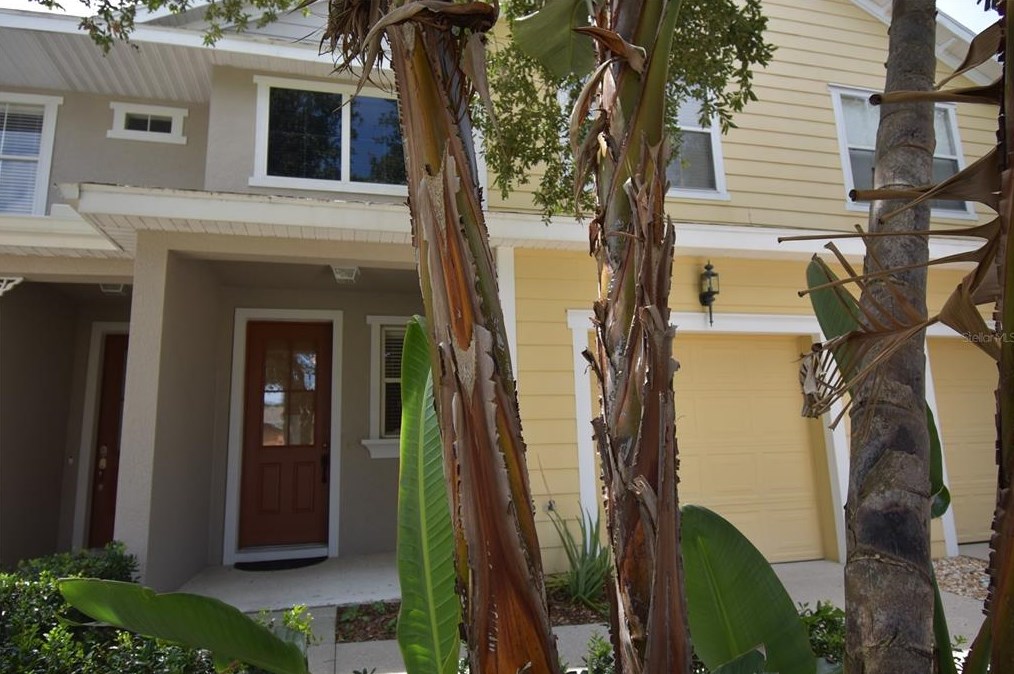 726 Chacall Loop, Mount Dora, FL 32757
