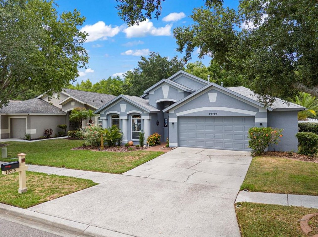 19719 Ellendale Dr, Land O Lakes, FL 34638