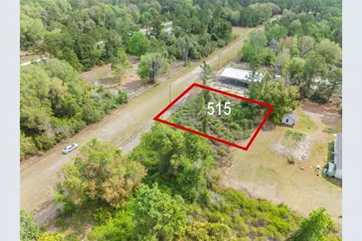 515 Gardenia Avenue, Georgetown, FL 32139 - Photo 1