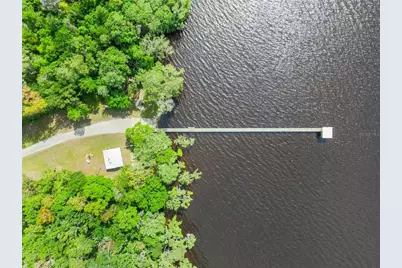 515 Gardenia Avenue, Georgetown, FL 32139 - Photo 22