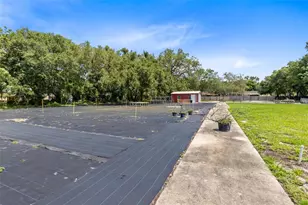 424 E Welch Rd, Apopka, FL 32712 - Photo 26