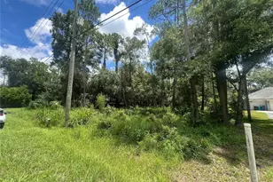 6760 Quail Hollow Blvd, Wesley Chapel, FL 33544 - Photo 1