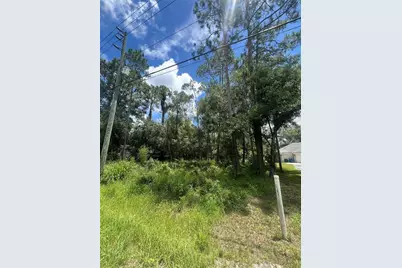 6760 Quail Hollow Boulevard, Wesley Chapel, FL 33544 - Photo 2