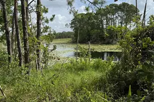 1780 Converse Ct, Deltona, FL 32738 - Photo 16