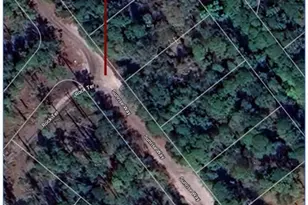 6206 Sunrise Way, Sebring, FL 33875 - Photo 6