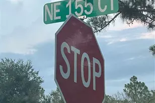Lot 20 NE 155th Ct, Williston, FL 32696 - Photo 1