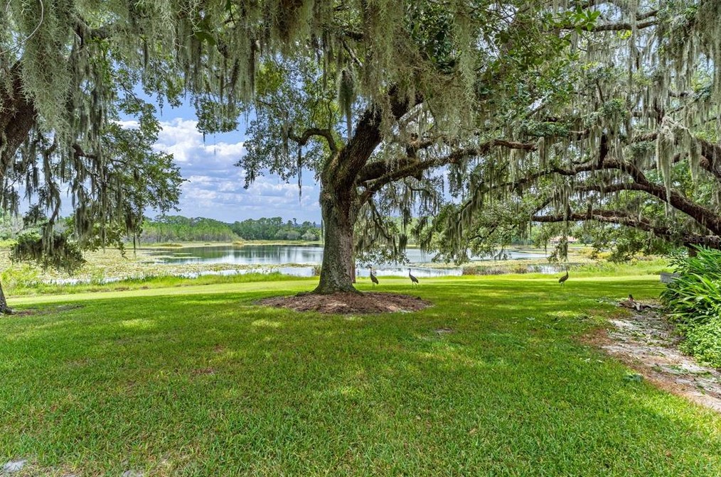 2975 Greenwood Springs Loop, Lake Mary, FL 32746