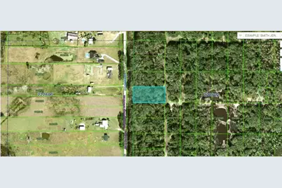 Oconner Road, Kathleen, FL 33849 - Photo 1