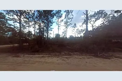 Evergreen Street, Fountain, FL 32438 - Photo 6