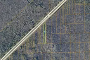 Turkey Roost Rd, Deland, FL 32724 - Photo 1