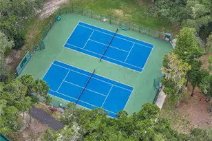 411 Palo Verde Dr, Leesburg, FL 34748 - Photo 54