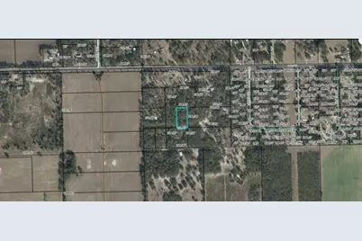 Cr-340, Bell, FL 32619 - Photo 4