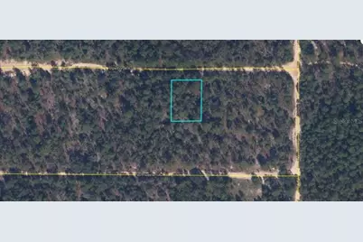 6213 Olgethorpe Avenue, Keystone Heights, FL 32656 - Photo 2