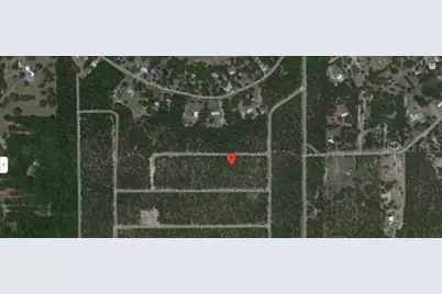 6213 Olgethorpe Avenue, Keystone Heights, FL 32656 - Photo 4