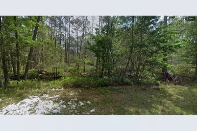 209 SE Paradise Lakes, Georgetown, FL 32139 - Photo 6