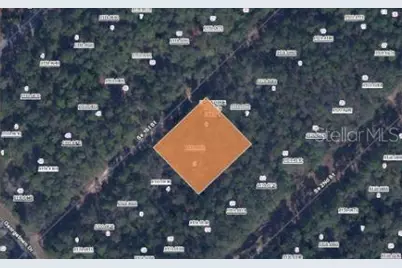 209 SE Paradise Lakes, Georgetown, FL 32139 - Photo 2