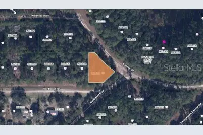 Shirley Cir, Georgetown, FL 32139 - Photo 2