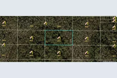 E Colonial Drive, Orlando, FL 32820 - Photo 2