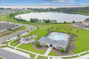 3047 Tansy St, Tavares, FL 32778 - Photo 34