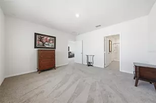 3047 Tansy St, Tavares, FL 32778 - Photo 24
