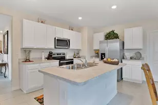 3047 Tansy St, Tavares, FL 32778 - Photo 8