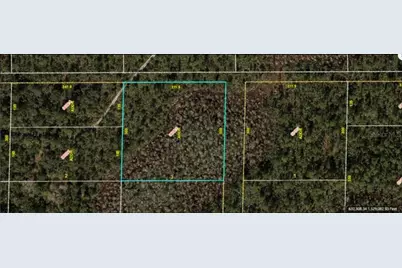 E Colonial Drive, Orlando, FL 32820 - Photo 2