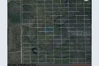 Dill Road, Orlando, FL 32820 - Photo 4