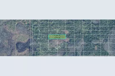 Dill Road, Orlando, FL 32820 - Photo 2