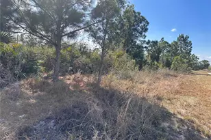 2817 56th St W, Lehigh Acres, FL 33971 - Photo 6