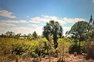 2817 56th St W, Lehigh Acres, FL 33971 - Photo 8