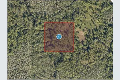 Salyers Road, Clermont, FL 34714 - Photo 4