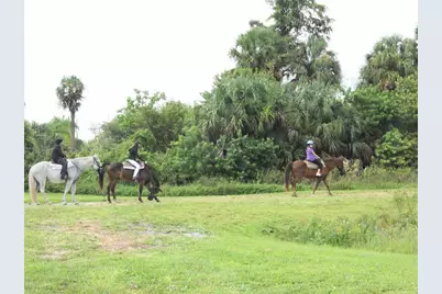 Lot B Burhans Road, Eustis, FL 32736 - Photo 10