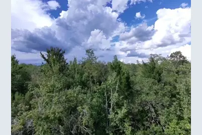 Sheldon Street, Orlando, FL 32833 - Photo 6