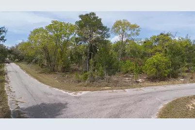 Guava Pass Way, Ocklawaha, FL 32179 - Photo 26