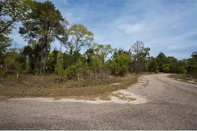 Guava Pass Way, Ocklawaha, FL 32179 - Photo 12