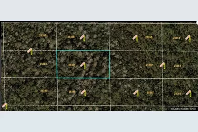 Dill Road, Orlando, FL 32820 - Photo 2