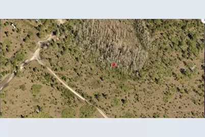 Holopaw Groves Road, Saint Cloud, FL 34773 - Photo 2