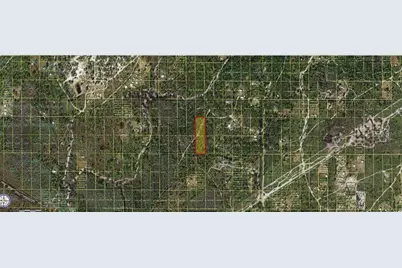 Holopaw Groves Road, Saint Cloud, FL 34773 - Photo 2