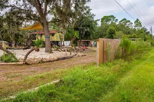 21343 SE 142nd Pl, Umatilla, FL 32784 - Photo 40