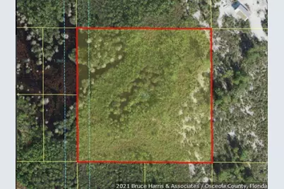 Holopaw Groves Road, Saint Cloud, FL 34773 - Photo 4