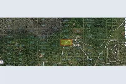 Holopaw Groves Road, Saint Cloud, FL 34773 - Photo 2