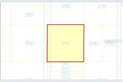 Holopaw Groves Road, Saint Cloud, FL 34773 - Photo 4