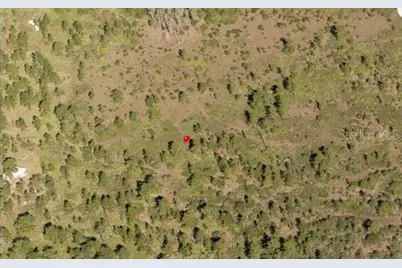 Holopaw Groves Road, Saint Cloud, FL 34773 - Photo 2