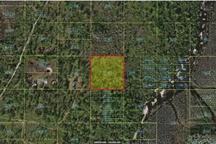 Holopaw Groves Rd, Saint Cloud, FL 34773 - Photo 1