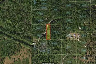 Holopaw Groves Rd, Saint Cloud, FL 34773 - Photo 1