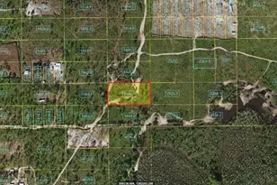 Holopaw Groves Rd, Saint Cloud, FL 34773 - Photo 1