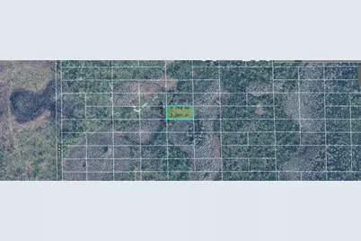 Dill Road, Orlando, FL 32820 - Photo 2