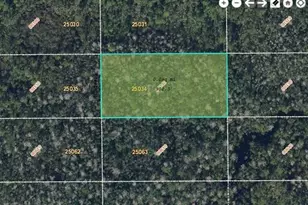 Dill Rd, Orlando, FL 32820 - Photo 1