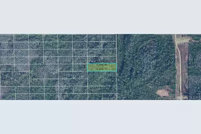 Dill Road, Orlando, FL 32820 - Photo 2