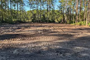 1090 Homestead Cv, Geneva, FL 32732 - Photo 1